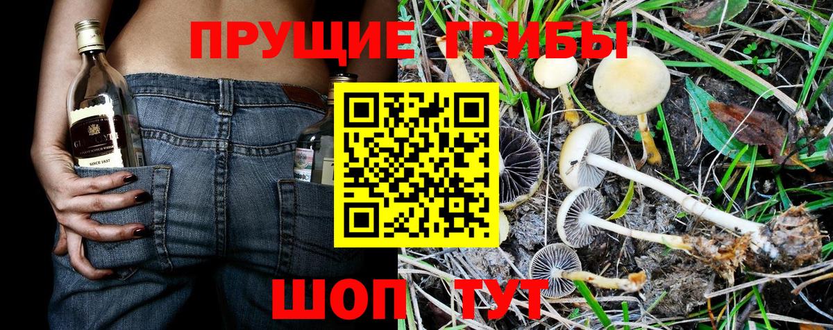 Псилоцибиновые грибы мухоморы Королёв