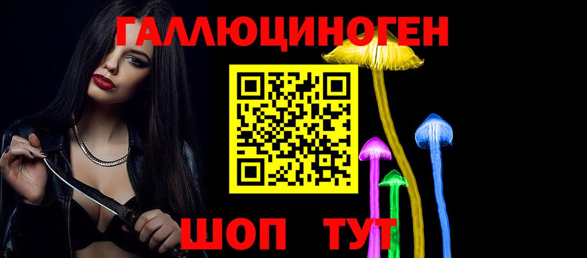 Псилоцибиновые грибы GOLDEN TEACHER  где купить   Королёв  Вход с VPN  Галлюциногенные грибы ЛСД 